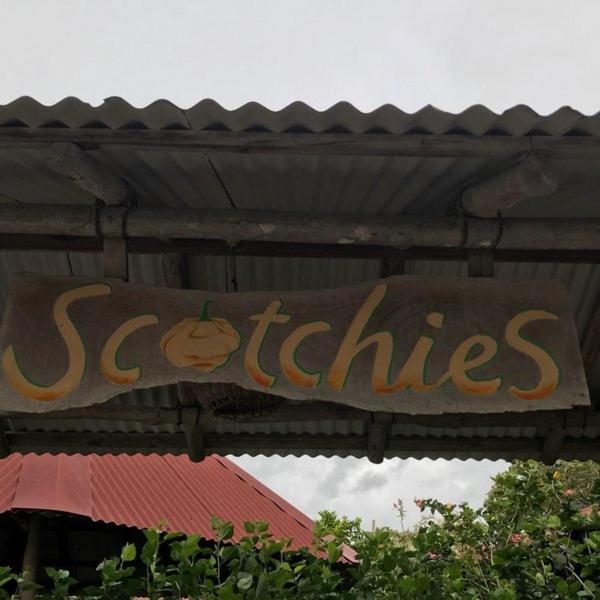 Savannah'S Place Mammee Bay Luaran gambar